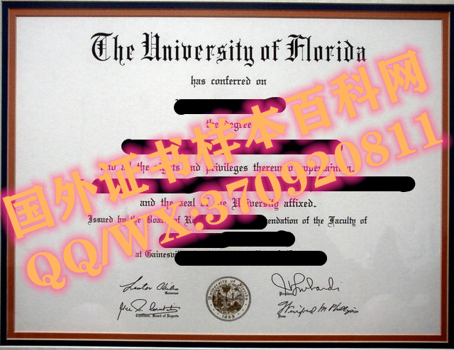 美国佛罗里达大学毕业证模板