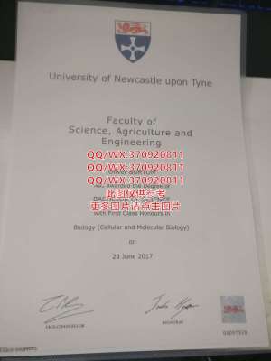 新加坡莎顿国际学院文凭样本-国外大学毕业证