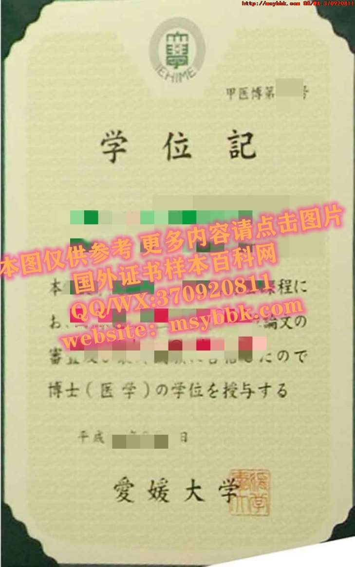 基尔大学毕业证书全新解读：基尔大学专业讲座