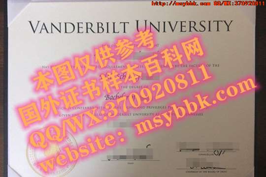 美国底特律慈悲大学毕业证书全新解读：美国底特律慈悲大学专业讲座